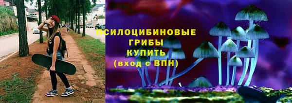 mdpv Зеленодольск