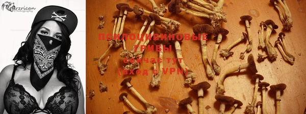 mdpv Зеленодольск