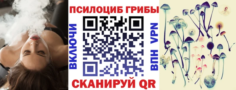 купить наркоту  Кинель  Галлюциногенные грибы прущие грибы 