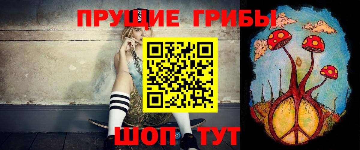 Галлюциногенные грибы GOLDEN TEACHER Кинель