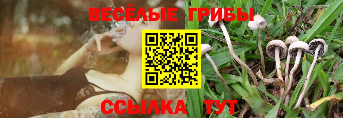 APVP Кинель