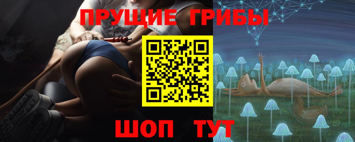 Кинель  Псилоцибиновые грибы прущие грибы  Вход с VPN  Псилоцибиновые грибы Magic Shrooms 